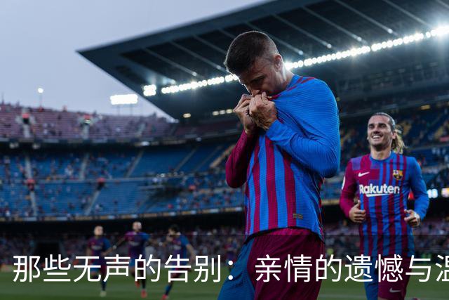 那些无声的告别：亲情的遗憾与温暖